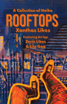 book cover for Rooftops