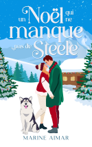 Couverture du livre pour Un Noël qui ne manque pas de Steele