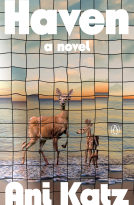 book cover for Haven
