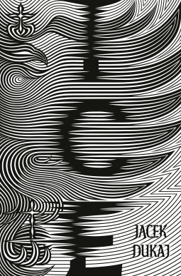 book cover for Ice