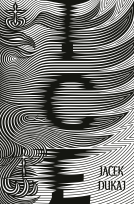book cover for Ice