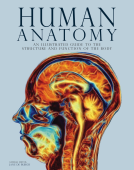 book cover for Human Anatomy