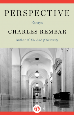 book cover for Perspective