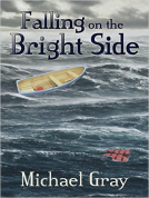 book cover for Falling on the Bright Side