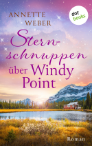 Buchcover für Sternschnuppen über Windy Point