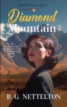 book cover for Diamond Mountain