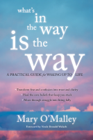 book cover for What's in the Way Is the Way