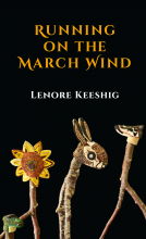 book cover for Running on the March Wind