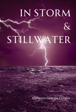 book cover for In Storm & Stillwater