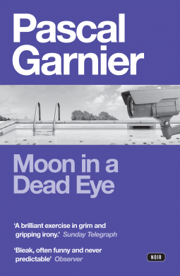 book cover for Moon in a Dead Eye
