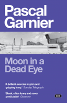 book cover for Moon in a Dead Eye