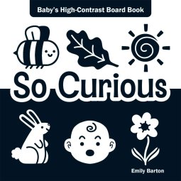 book cover for So Curious