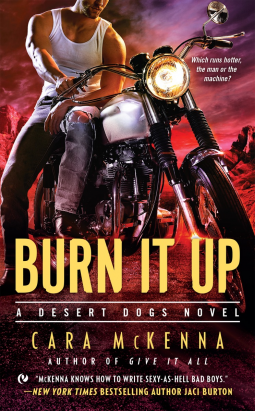 book cover for Burn It Up