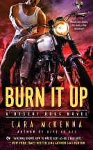 book cover for Burn It Up