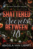 book cover for Shattered Secrets Between Us
