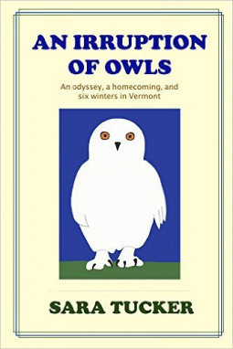 book cover for An Irruption of Owls