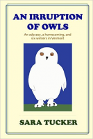 book cover for An Irruption of Owls
