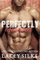 book cover for Perfectly Equipped