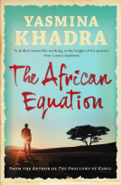 book cover for The African Equation