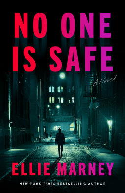 book cover for No One Is Safe