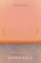 book cover for Wellwater