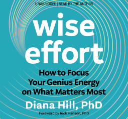book cover for Wise Effort