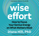 book cover for Wise Effort