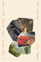 book cover for A Fast Horse Never Brings Good News