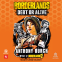 book cover for Borderlands: Debt or Alive