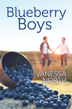 book cover for Blueberry Boys