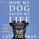 book cover for How My Dog Saved My Life