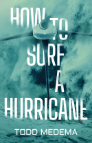 book cover for How to Surf a Hurricane