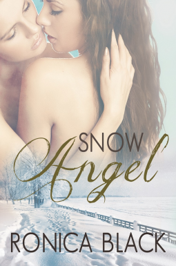 book cover for Snow Angel