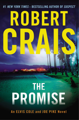 book cover for The Promise