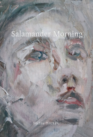 book cover for Salamander Morning