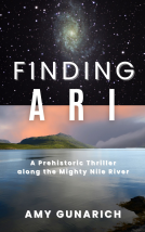 book cover for Finding Ari