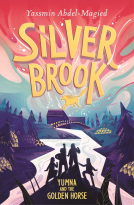 book cover for Silverbrook