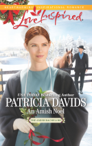 book cover for An Amish Noel