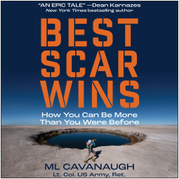 book cover for Best Scar Wins