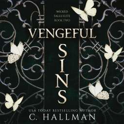 book cover for Vengeful Sins