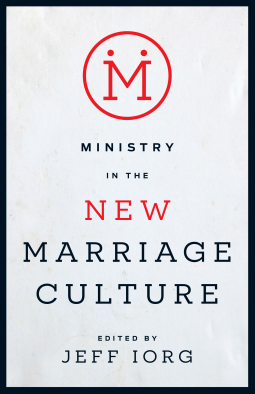 book cover for Ministry in the New Marriage Culture