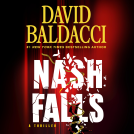 book cover for Nash Falls