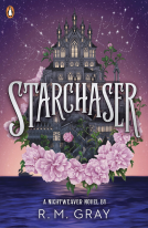 book cover for Starchaser