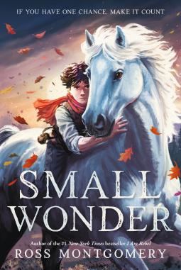 book cover for Small Wonder