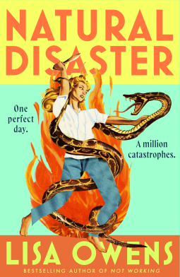book cover for Natural Disaster