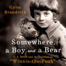 book cover for Somewhere, a Boy and a Bear