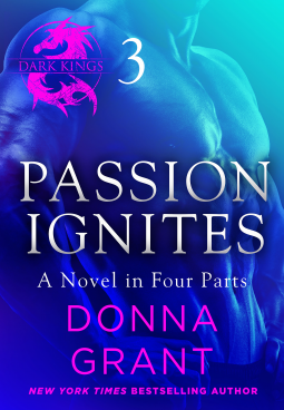 book cover for Passion Ignites: Part 3