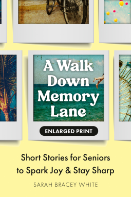book cover for A Walk Down Memory Lane