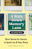 book cover for A Walk Down Memory Lane