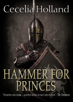 book cover for Hammer for Princes